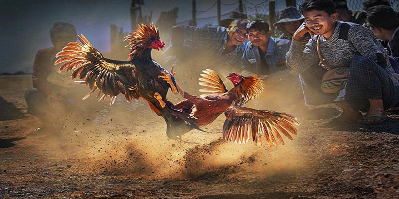 sumwin xổ số bữa nay
