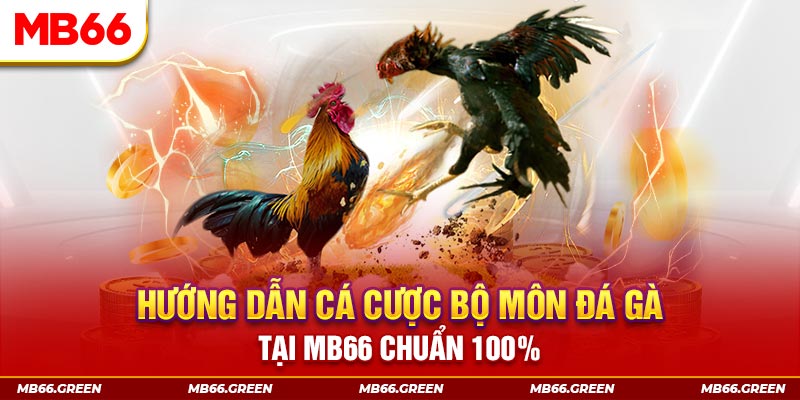 sumwin slot là gi