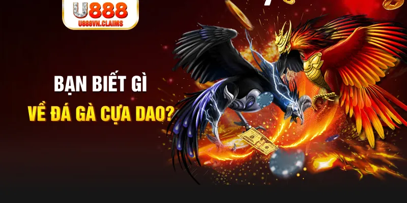 sumwin SW Xổ Số
