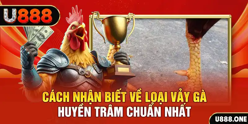 sumwin đăng nhập nổ hũ số 1
