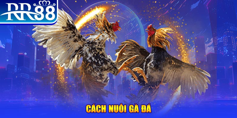 sumwin đăng nhập phỏm đổi thưởng