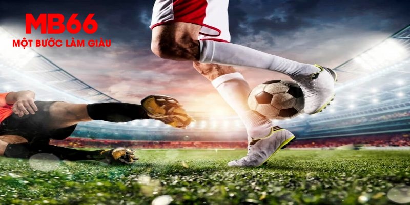 sumwin trực tiếp đá gà thomo