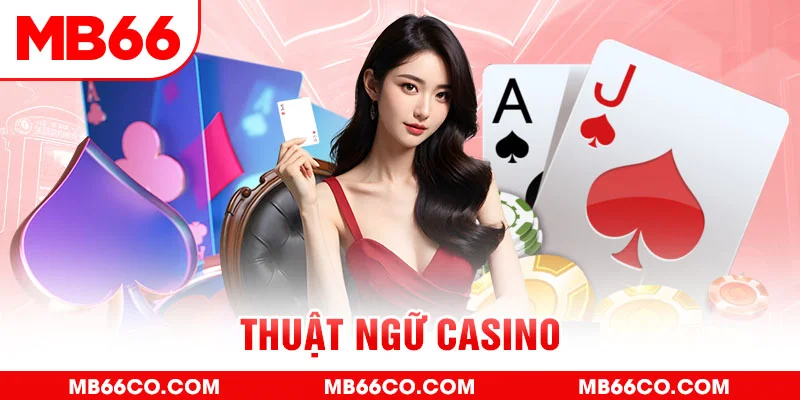 sumwin gà chọi c1 mới nhất