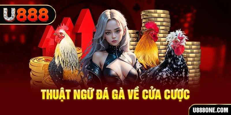 sumwin hơn cả bạn bè