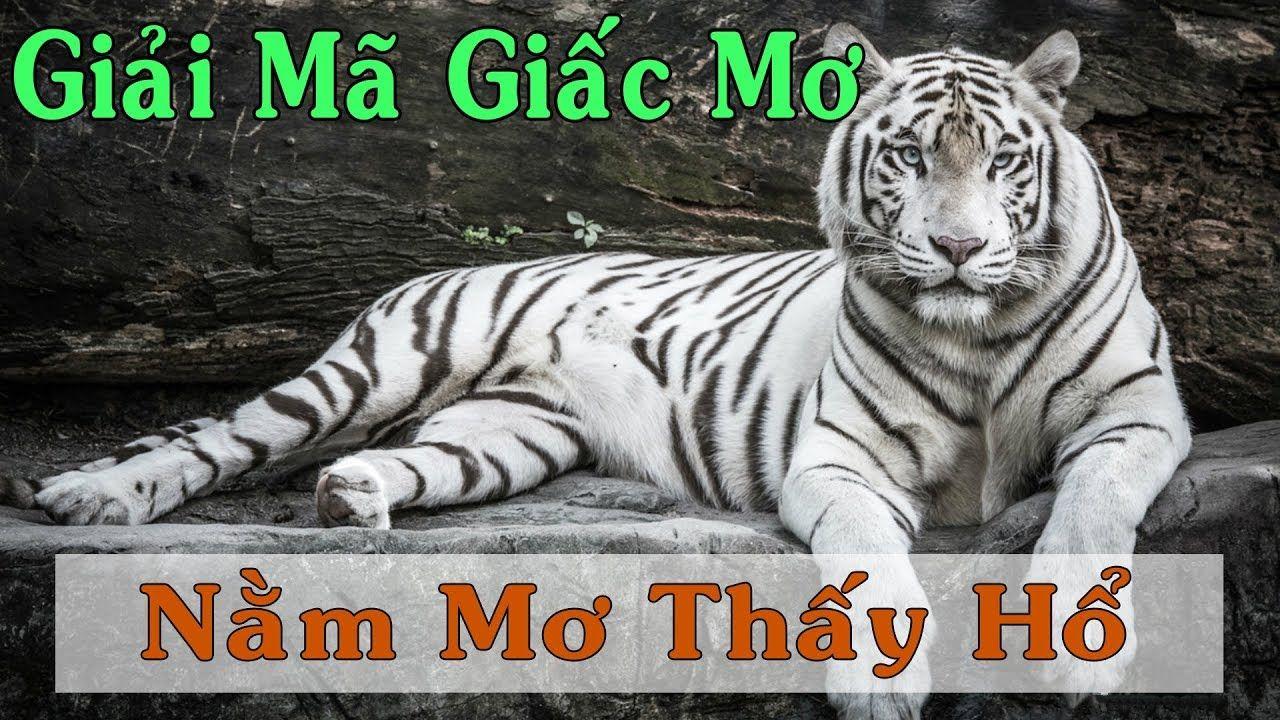 sumwin nổ hũ là game gì