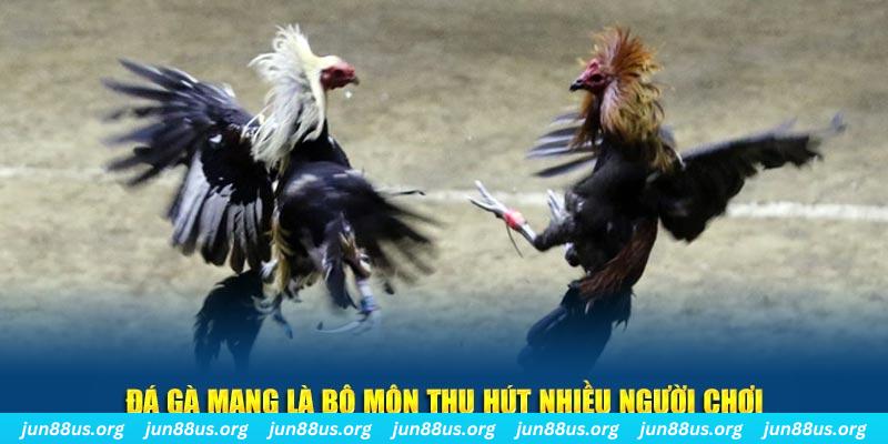 sumwin nổ hủ nghĩa là gì