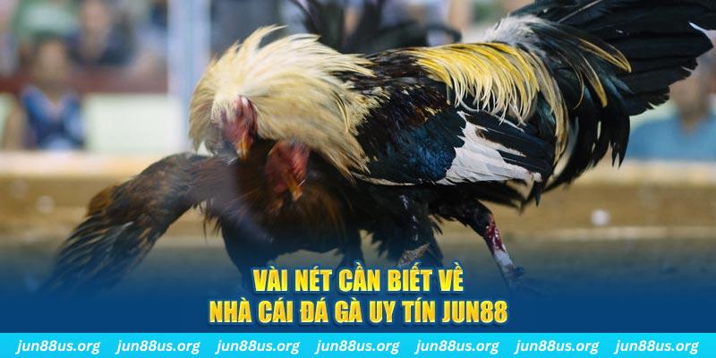 sumwin đăng nhập phỏm khuyến mãi
