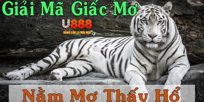 sumwin xổ số miền bắc xổ số miền bắc