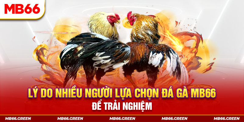 sumwin đăng nhập liêng trực tiếp