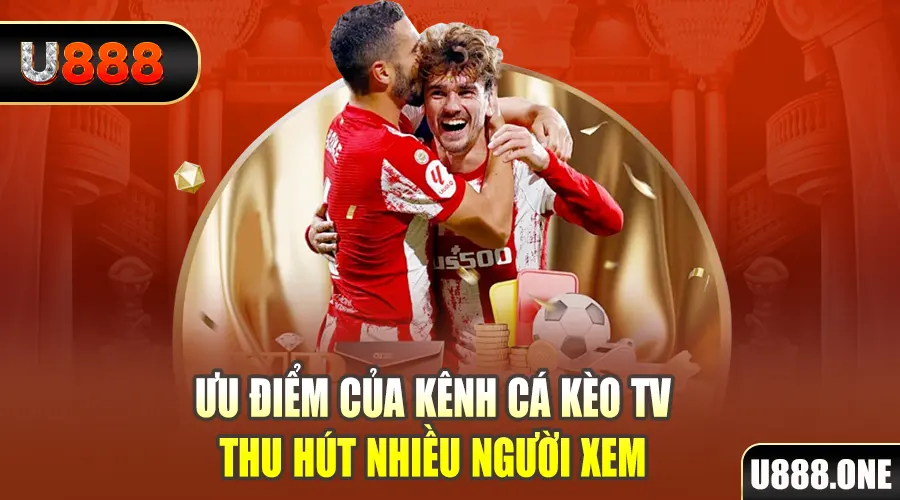 sumwin gà chọi cu cần