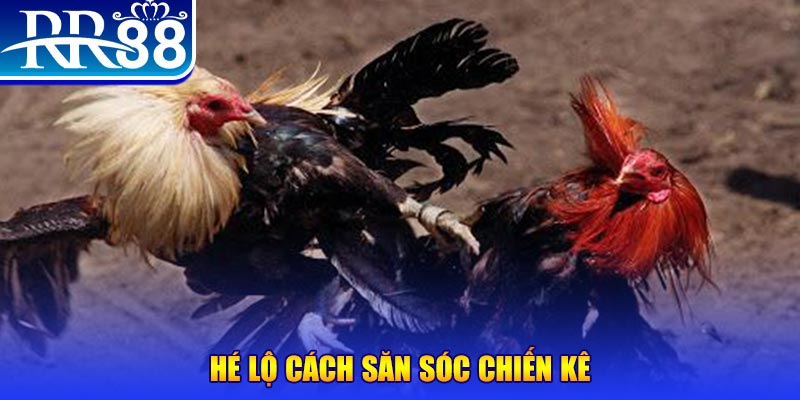 sumwin xổ số miền trung thứ tư