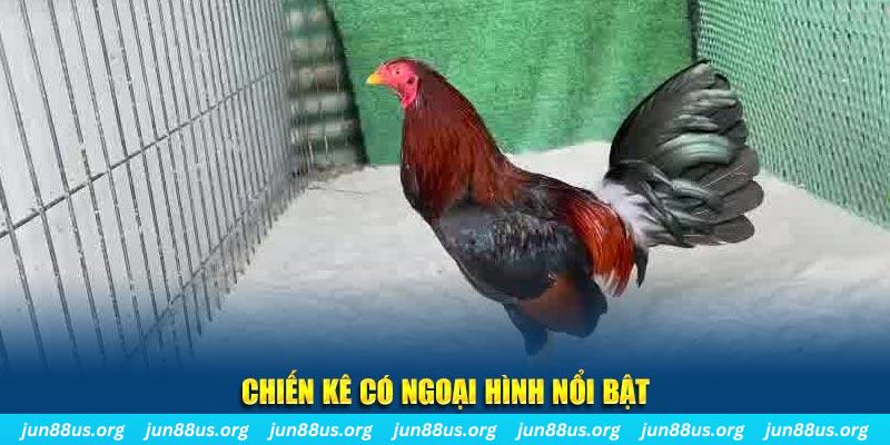 sumwin game bắn cá