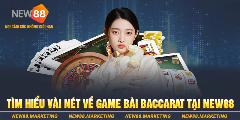 sumwin gà chọi c1 ô taxi