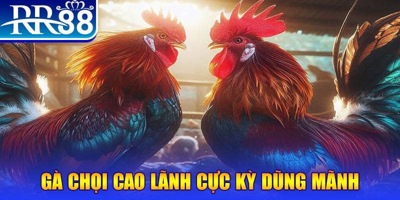 sumwin HB Điện Tử